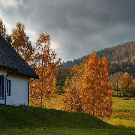 Rezydencja Ostoja Stronie Śląskie エクステリア 写真