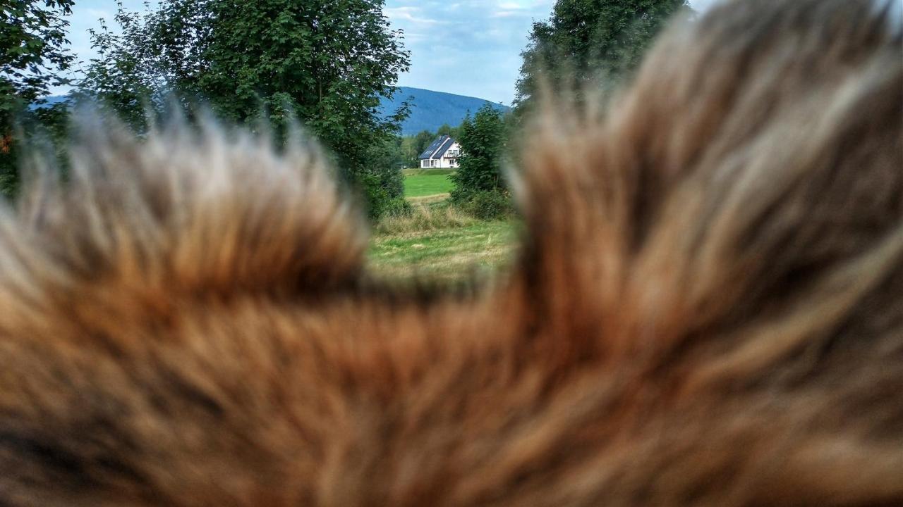Rezydencja Ostoja Stronie Śląskie エクステリア 写真