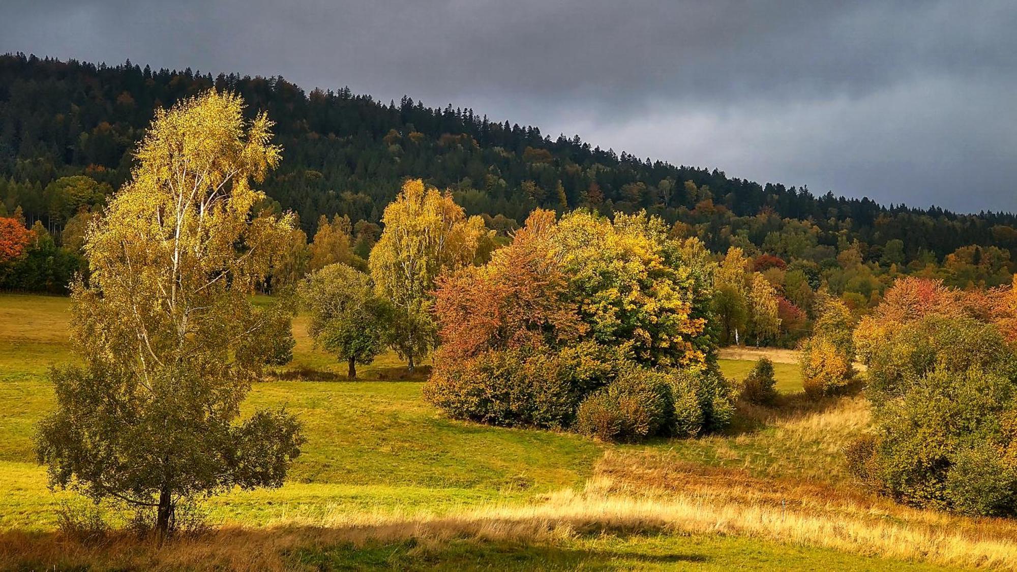 Rezydencja Ostoja Stronie Śląskie エクステリア 写真