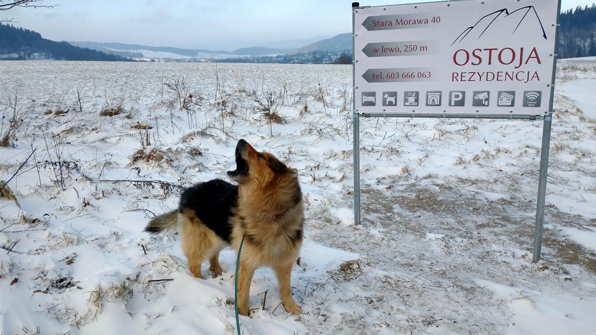 Rezydencja Ostoja Stronie Śląskie エクステリア 写真